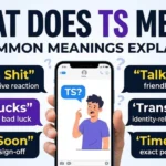 TS Mean in Text: Discover the Exact Meaning, Definition & Popular Uses