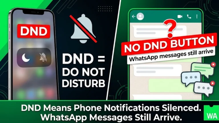 DND Meaning in WhatsApp: What Does DND Really Mean?